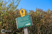 größte deutsche Ostseeinsel im Frühjahr - Tipps für den Rügen Urlaub
