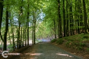 größte deutsche Ostseeinsel im Frühjahr - Tipps für den Rügen Urlaub