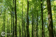 größte deutsche Ostseeinsel im Frühjahr - Tipps für den Rügen Urlaub
