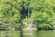 größte deutsche Ostseeinsel im Frühjahr - Tipps für den Rügen Urlaub