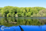 größte deutsche Ostseeinsel im Frühjahr - Tipps für den Rügen Urlaub
