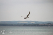größte deutsche Ostseeinsel im Frühjahr - Tipps für den Rügen Urlaub