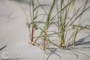 größte deutsche Ostseeinsel im Frühjahr - Tipps für den Rügen Urlaub
