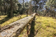 größte deutsche Ostseeinsel im Frühjahr - Tipps für den Rügen Urlaub