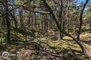 größte deutsche Ostseeinsel im Frühjahr - Tipps für den Rügen Urlaub