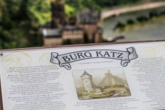 Loreley am Rhein