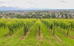 Neroberg Wiesbaden