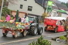 60 Jahre Karneval