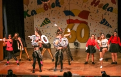 60. Jahre Karneval in Schoningen 2018 60. Jahre Karneval in Schoningen 2018