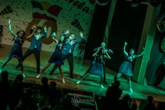60. Jahre Karneval in Schoningen 2018 60. Jahre Karneval in Schoningen 2018