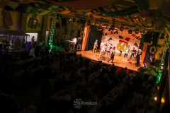 60. Jahre Karneval in Schoningen 2018 60. Jahre Karneval in Schoningen 2018