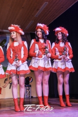 Karneval in Schoningen 2019 Karneval in Schoningen 2019