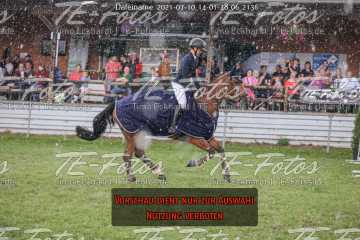 2021-07-10_14-01-48_06_2136