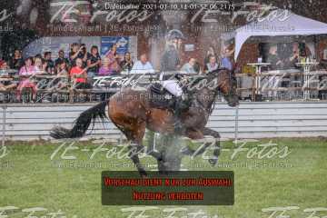 2021-07-10_14-01-52_06_2175