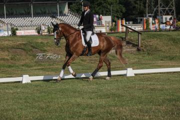 2021-07-17_08-13-58_04090