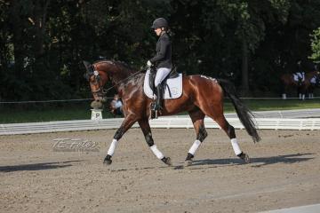 2021-07-17_08-31-48_01552