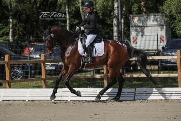 2021-07-17_10-28-50_02169