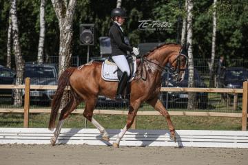 2021-07-17_10-31-46_02888