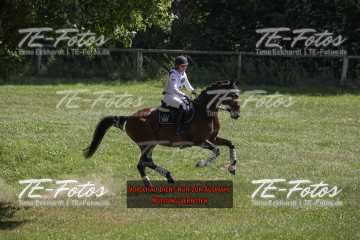 2021-07-17_15-00-19_15732