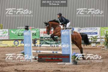 2021-08-01_11-14-35_00569