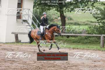 2021-08-01_11-29-34_02276