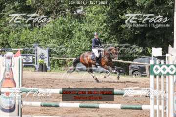 2021-08-01_11-33-27_02633