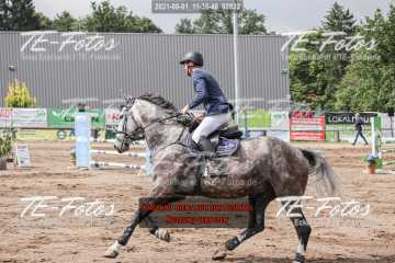 2021-08-01_11-35-48_02832 2021-08-01_11-35-48_02832