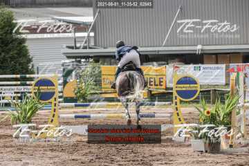 2021-08-01_11-35-52_02845 2021-08-01_11-35-52_02845