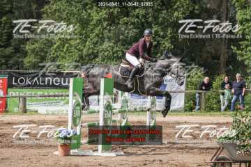 2021-08-01_11-36-42_02905 2021-08-01_11-36-42_02905