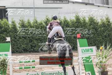 2021-08-01_11-36-51_02925 2021-08-01_11-36-51_02925