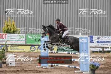 2021-08-01_11-37-11_02970 2021-08-01_11-37-11_02970