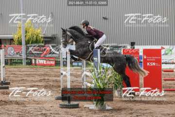 2021-08-01_11-37-13_02995 2021-08-01_11-37-13_02995