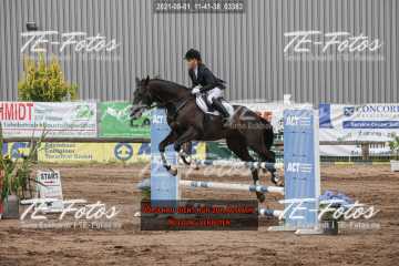 2021-08-01_11-41-38_03383