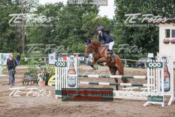 2021-08-01_11-46-06_03702 2021-08-01_11-46-06_03702