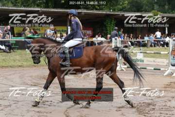 2021-08-01_16-48-36_1512