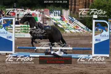 2021-08-01_17-24-59_2539
