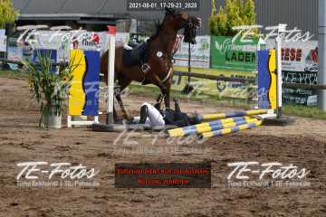 2021-08-01_17-29-23_2628 2021-08-01_17-29-23_2628