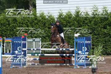 2021-08-01_17-31-56_2651 2021-08-01_17-31-56_2651