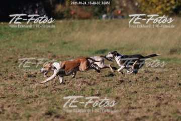 2021-10-24_13-40-30_02858