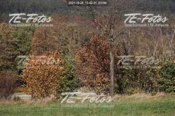 2021-10-24_13-42-31_03194
