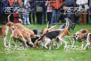 2023-10-22_14-41-10_07224