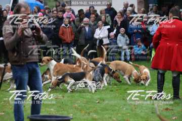 2023-10-22_14-43-09_07297