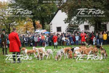 2023-10-22_14-45-37_07428