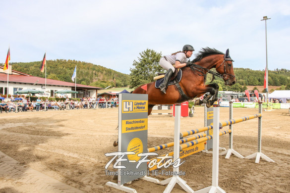 Reitfotografie - Begleitung beim Reitturnier