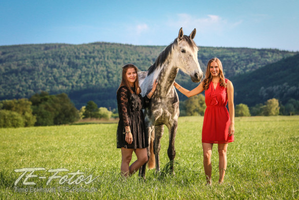 Tiershooting mit Pferd, Hund oder anderen Tieren