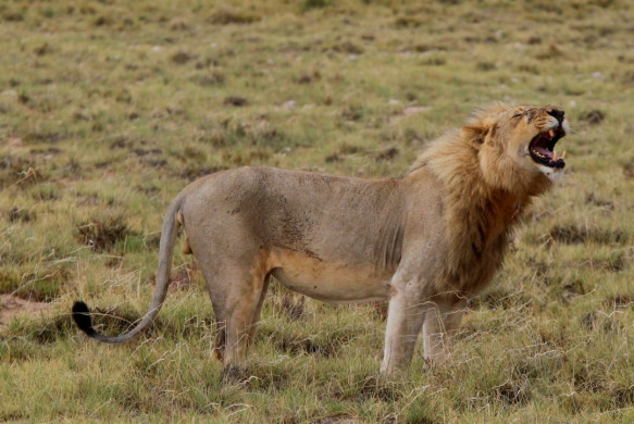 Etosha Nationalpark in Namibia