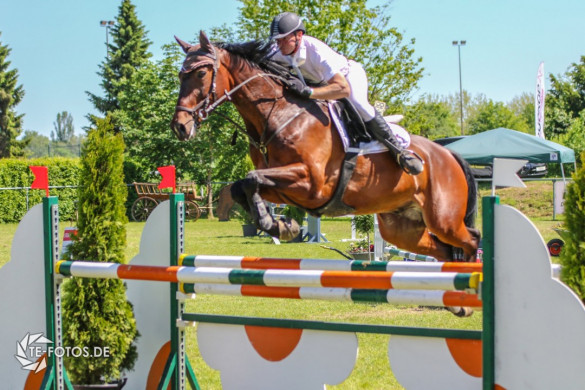 Reitturnier Moringen 2017