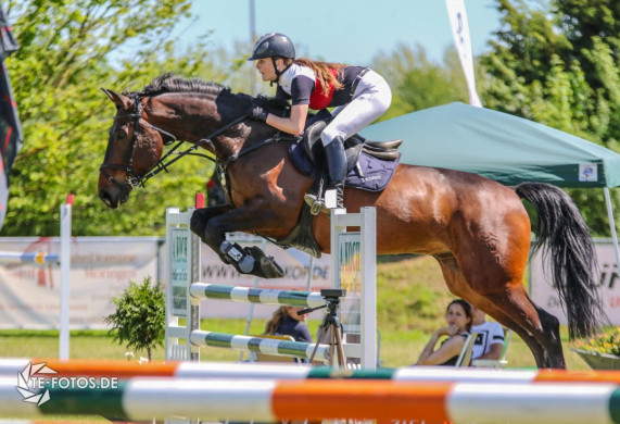Reitturnier Moringen 2017