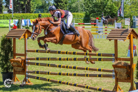 Reitturnier Moringen 2017