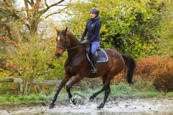 Reiten auf dem Sandplatz